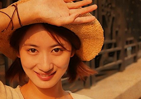 郭珍霓演过的电视剧