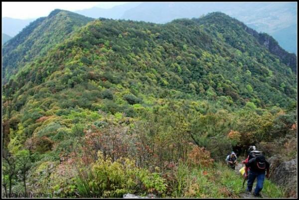 2、金凤山森林公园