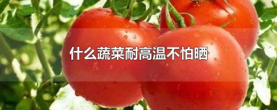 ​哪些蔬菜耐高温 什么蔬菜耐干旱耐晒?