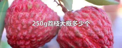 ​荔枝300g大概是多少个 400g荔枝能有多少颗