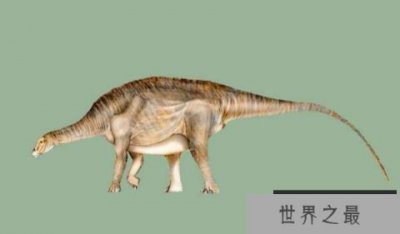 ​内乌肯龙(Neuquensaurus)：长15米的阿根廷大型食草恐龙