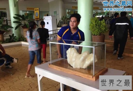 世界上最大的珍珠,重78斤被雪藏10年(价值1亿美金)