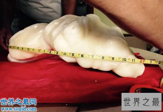 世界上最大的珍珠,重78斤被雪藏10年(价值1亿美金)