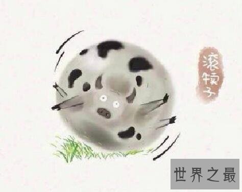 东北四大神兽和八大犊子,扯犊子滚犊子(大神配萌图)