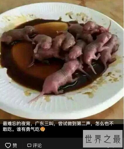 中国十大禁菜之老鼠三吱儿,最恶心的美食(生吃老鼠)