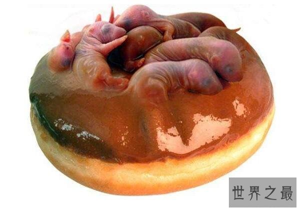 中国十大禁菜之老鼠三吱儿,最恶心的美食(生吃老鼠)