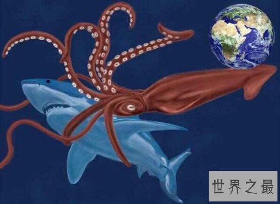 世界上最大的无脊椎动物大王酸浆鱿 体型庞大不可食用