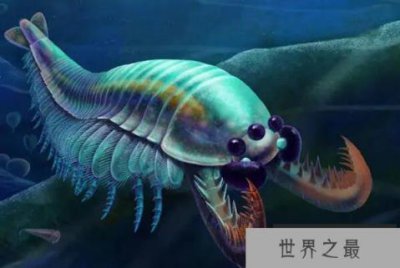 ​远古十大生物排行榜，旋齿鲨排第二，第四是袋鼠里的牛头犬