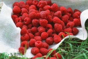 刺泡怎么保存？刺泡保存方法