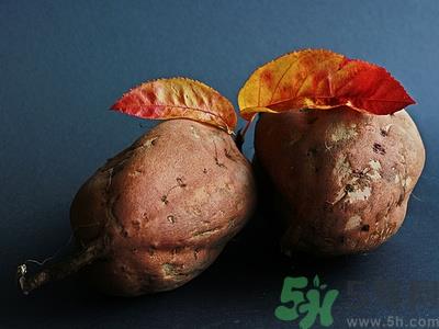 苹果和红薯可以一起吃吗?苹果和红薯一起吃好吗