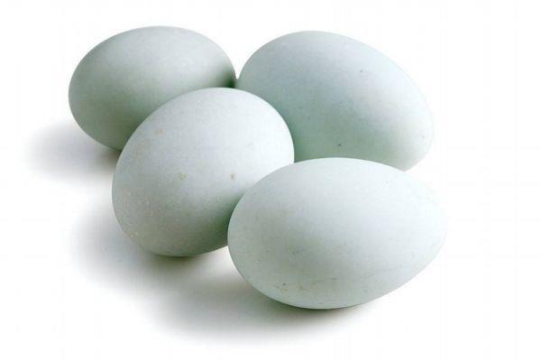 孕妇可以吃乌鸡蛋吗 乌鸡蛋不适合什么人吃