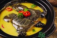 甲鱼怎么杀？甲鱼怎么处理？