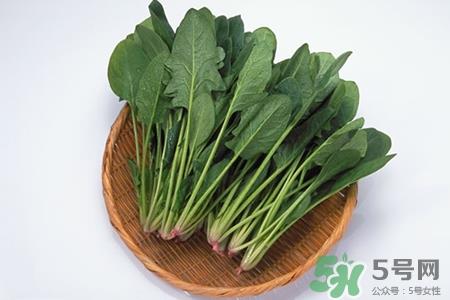 菠菜不能和什么一起吃？菠菜和什么食物相克吗？