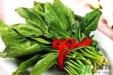 菠菜不能和什么一起吃？菠菜和什么食物相克吗？