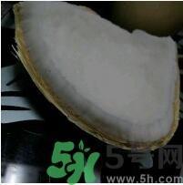 椰子可以放冰箱吗？椰子放冰箱容易坏吗？