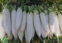 白萝卜发黑能吃吗?白萝卜的心变黑怎么回事