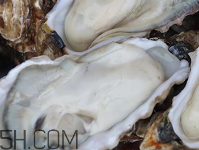 生蚝是什么？吃生蚝的注意事项