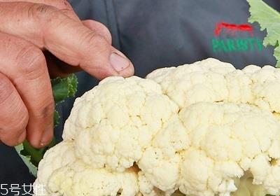 花椰菜怎么挑选 花椰菜的处理技巧