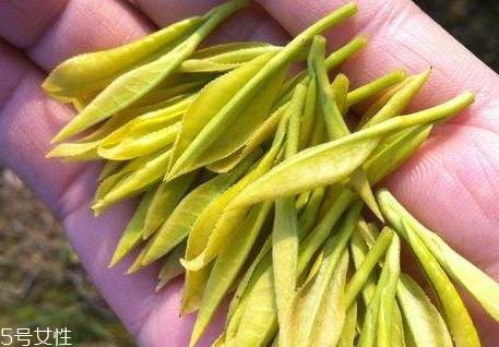 黄金茶多少钱一斤 黄金茶怎么选购 黄金茶多少钱一斤 黄金茶怎么选购