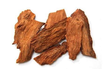 锁阳不能和什么一起吃 搭配宜忌