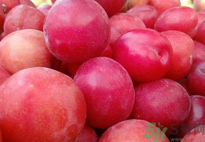 ​空腹可以吃李子吗?空腹吃李子好吗