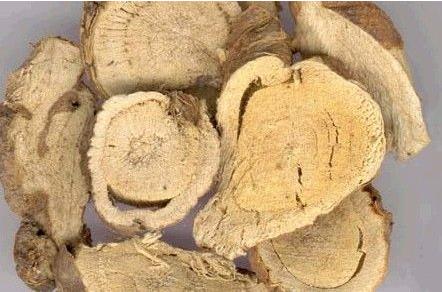 苦参可以泡水喝吗 宜忌人群