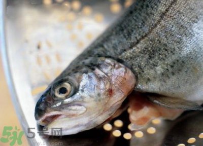 ​隔夜的鱼能吃吗?隔夜的鱼可以吃吗?
