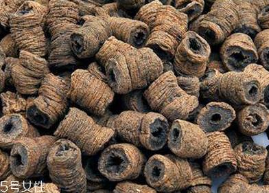 巴戟天能泡酒吗 牛漆巴戟天酒