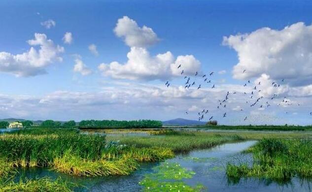 探秘地球三大生态系统介绍  3