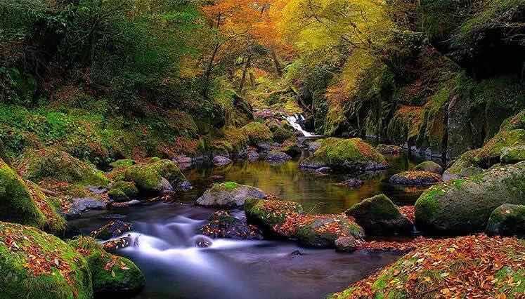 探秘地球三大生态系统介绍  2