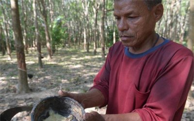 ​世界上天然橡胶最多的国家泰国产量高 (适合生长)