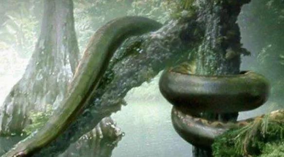 探秘远古最可怕的三大巨蛇（印度古裂口巨蛇也是其一）  1