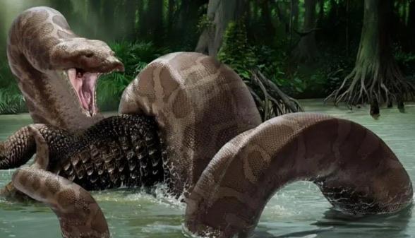 探秘远古最可怕的三大巨蛇（印度古裂口巨蛇也是其一）  2