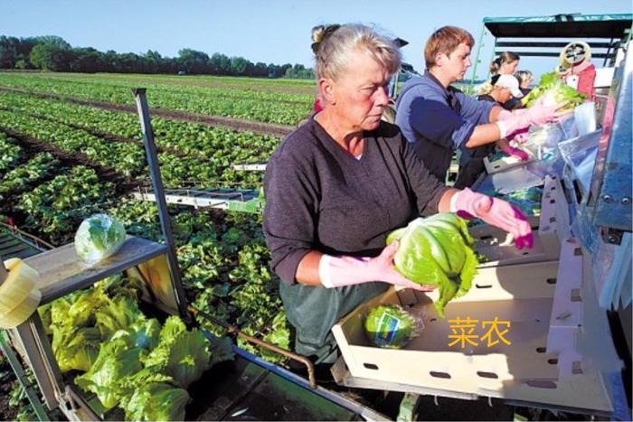 美国的国家级贫困县,为什么却是“沃野千里”的密西西比州?