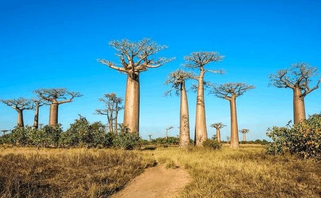 世界最没有隐私的国家：房屋不建墙壁，混血美女不计其数