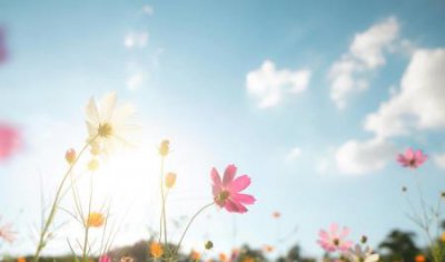 ​趣知识：摄像师证怎么考摄像师需要考证吗？