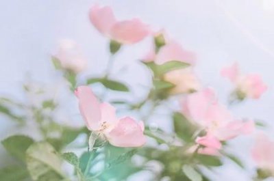 ​趣知识：四世同堂的作者是哪位？写的四世同堂的作者是哪位？是哪个国家的