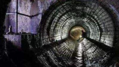 ​1977年湖南5岁男童跌入天坑靠吃蛇类生存8年后成野人竟是造假