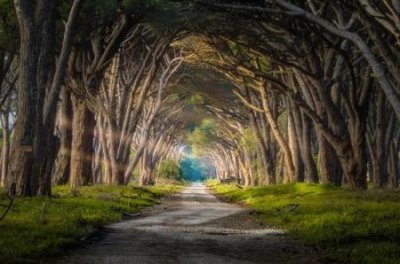 ​安阳灵异事件 1982年的安阳灵异事件 是