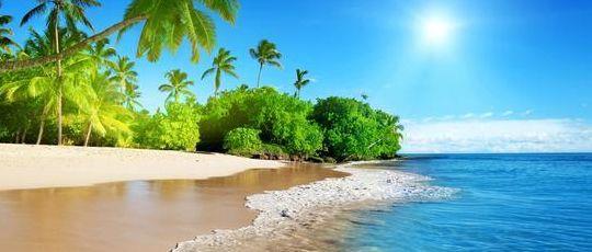 蓝天飞虹是什么生肖（蓝天飞虹是什么生肖360?）