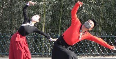 舞蹈苏科老师简介(舞蹈演员苏科)