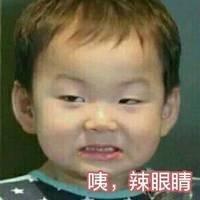 无水印表情包日常更新,睡觉吧,狗命重要……