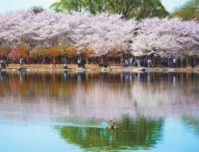 ​北京玉渊潭公园如何提前预约门票