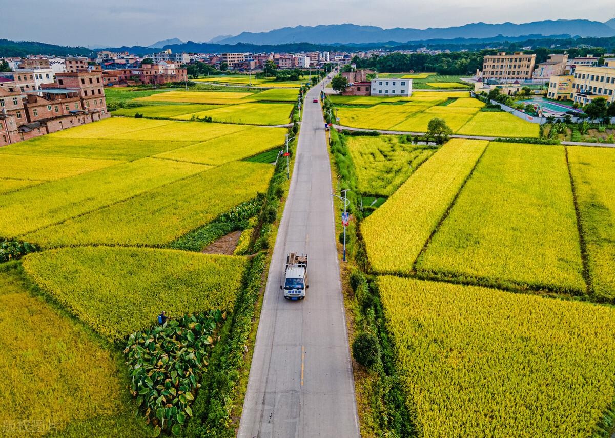 到2030年农村房子全部拆除吗(农村宅基地农房政策要求)-