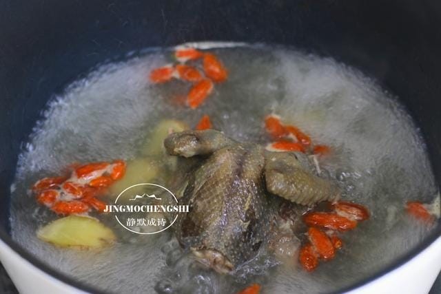 鸽子放什么炖汤好喝又营养(鸽子放什么材料煲汤好)