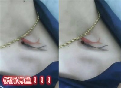 ​“锁骨养宠”有多狠？养鱼A级，养乌龟S级，图四才是SSS＋