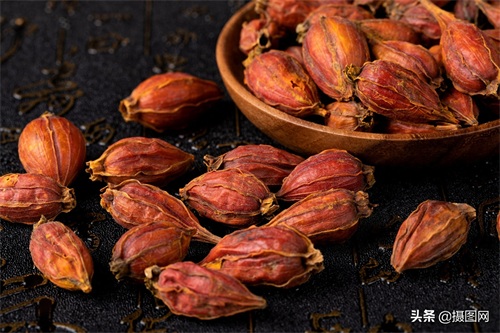 中药材图集｜常见的中药材到底长啥样？最后一种多数人没听过