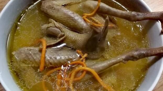 鸽子汤为什么不能放姜?