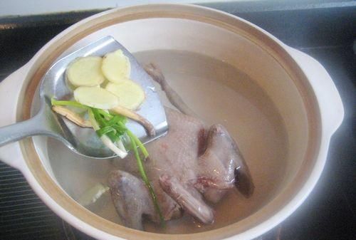 清炖鸽子汤的家常简单做法