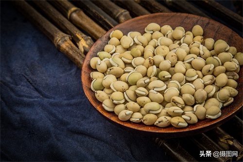 中药材图集｜常见的中药材到底长啥样？最后一种多数人没听过